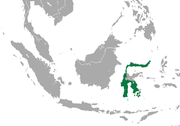 Spectral Tarsier area.png