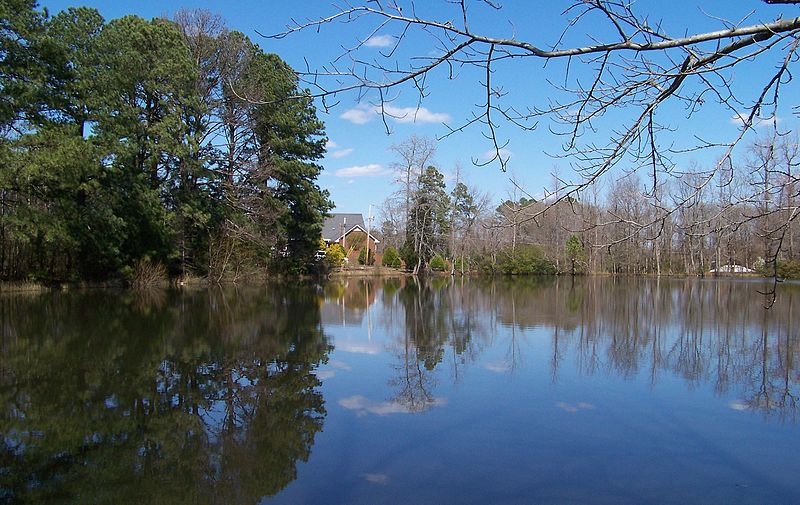 File:Spring 20 mar 09 - panoramio.jpg