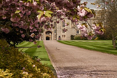 File:Spring at Windsor (Unsplash).jpg