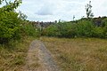 English: Státní lom, an abandoned quarry in the nature park Velký Kosíř. South-west part of the quarry is a national natural monument, but this picture was taken in its north part. Čeština: Státní lom, přírodní park Velký Kosíř. Jihozápadní část lomu je národní přírodní památkou, ovšem tato fotografie byla pořízena v severní části.