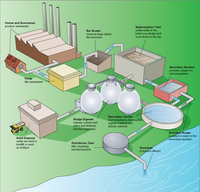 Steps in a typical wastewater treatment process.png