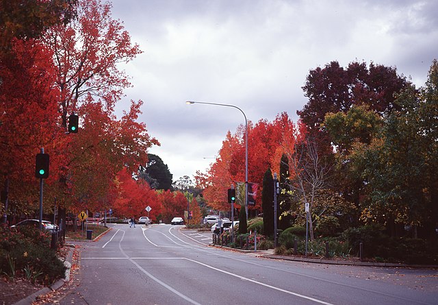 Main Street in autumn