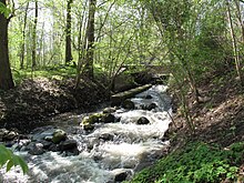 Fischpass an der ehemaligen Damm-Mühle in Altfriedland