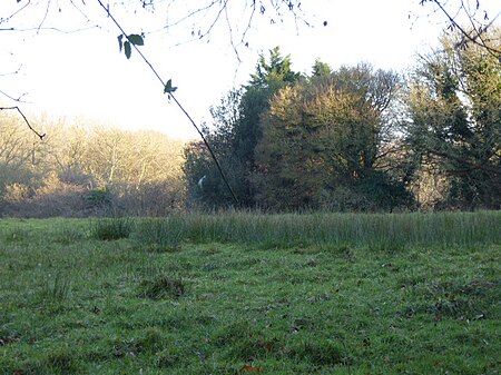 Stockland Farm Meadows (3)