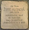 Stumbling block for Zofie Kleinova (Horaždovice) .jpg