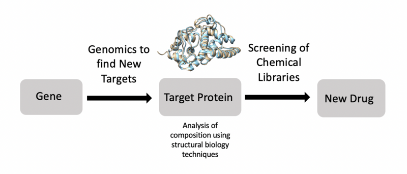 File:Structural Biology and Drug Discovery.png
