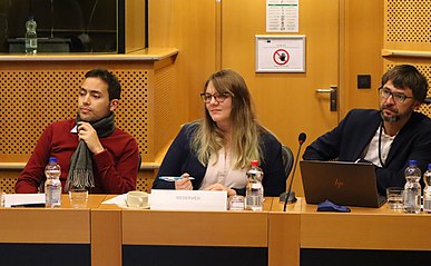 Susanna van Tonder at the Brain, Mind and Pain Meeting at the European Parliament in November 2018. Susanna EP.jpg