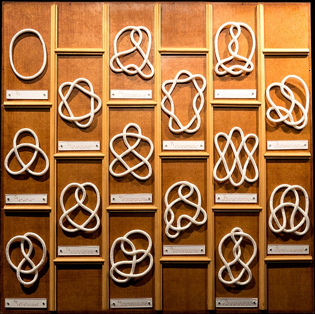 Examples of different knots including the trivial knot (top left) and the trefoil knot (below it)