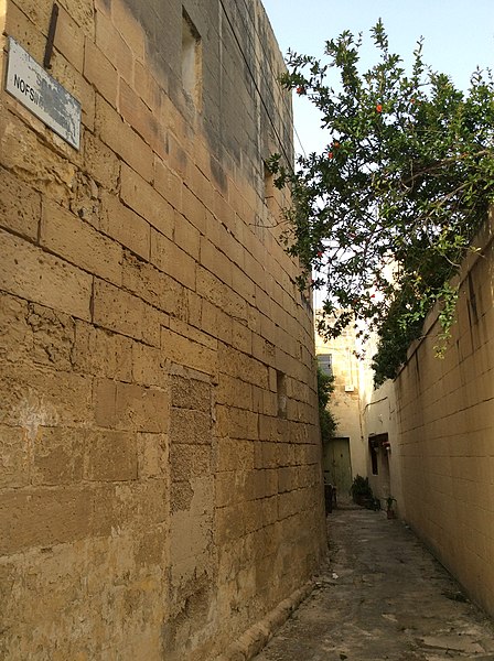 File:Tarxien heritage 21.jpg