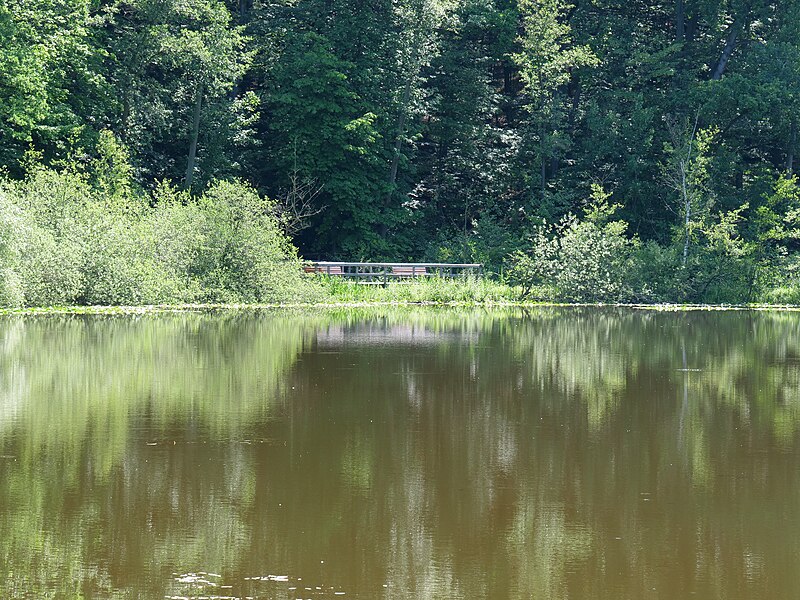 File:Teufelssee Köpenick 2019-06-13 11.jpg