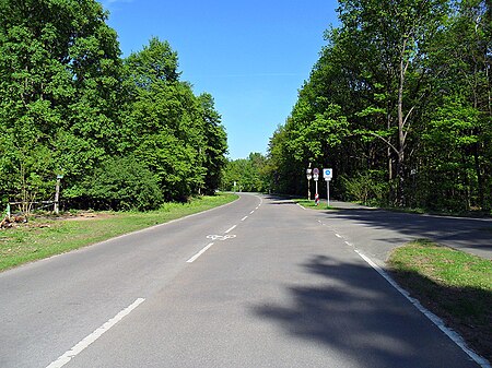 Teufelsseechaussee berlin grunewald 2011 1