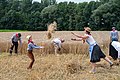 The “Pikkeling”, harvest scenes, field activities. 05