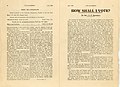 The Klansman, July 1930, volume2, number 11, pages 06 and 07.jpg