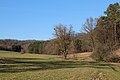 * Nomination Thuringia, pasture near Haubinda, framed by forest nature reserve 134 WDPA 'Vogelherdskopf' --KaiBorgeest 22:07, 18 May 2024 (UTC) * Promotion  Support Good quality. --Plozessor 04:28, 19 May 2024 (UTC)