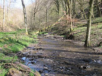 Tiefenbach between Sauerthal and Lorch