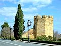 Torre de Guadalcabrillas.