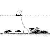 Method of towing Trawling Drawing.jpg