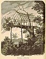 Domek na drzewie, w latach 1884-1885