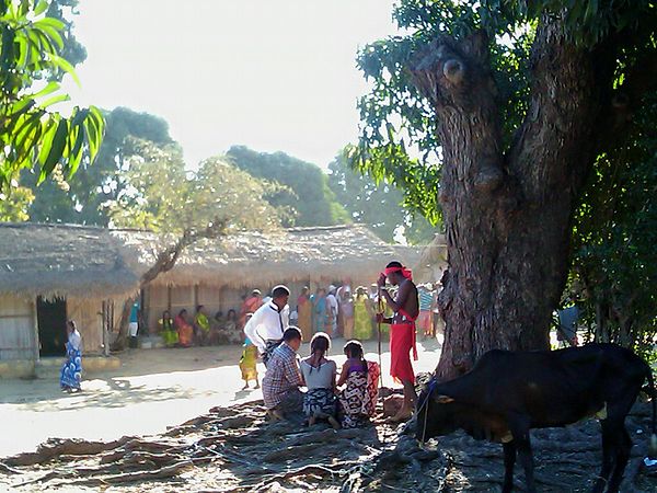 Tromba gathering in Madagascar.