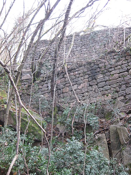 File:Turm an der Tinzlleiten - Nordmauer 04.jpg