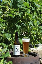 Миниатюра для Файл:Txg-golden ale-Txorierri Garagardoak.jpg