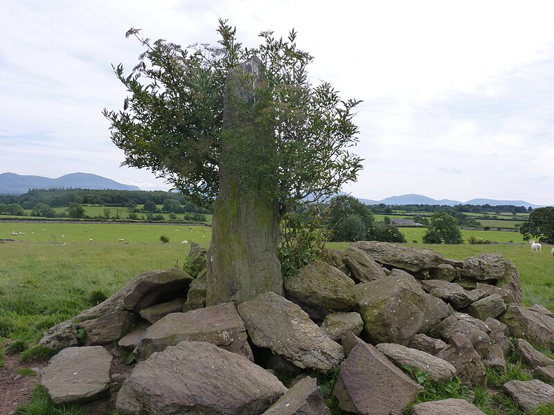 File:Tyddyn-Bach Standing Stone, nr Bryn Celli Ddu, Anglesey.jpg