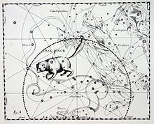 Sternbild Kleiner Bär mit Polaris, dargestellt in der Schwanzspitze nahe dem Kreis, auf dem der nördliche Himmelspol in einem Platonischen Jahr den nördlichen Ekliptikpol umrundet (Uranographia von Hevelius, 1690)