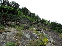 Valle d'Aosta (vigneto) 055.jpg