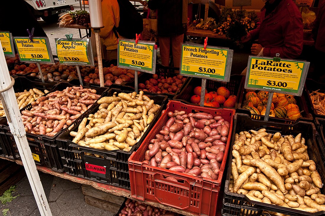 Variété de pommes de terre