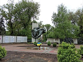 Victory Day in Velyka Novosilka, 2020 - 4.jpg