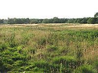 Das im Feld kaum erkennbare Henge von Arminghall