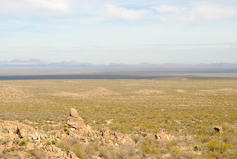 File:View from the bottom of Kitt Peak (6989358123).jpg