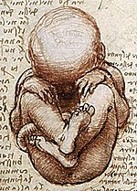 150px-Views_of_a_Foetus_in_the_Womb_detail.jpg