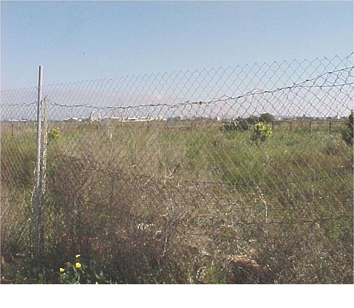 File:Vista de parcela de la zona este, desde el camino de tierra. - panoramio.jpg