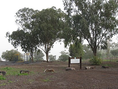 How to get to יער שוויץ with public transit - About the place