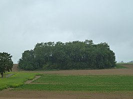 Tumuli van het Bos van de Tombes