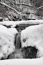 Thumbnail for Waterfall Glen Forest Preserve