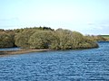 Dorman's Island Crannog, Whitefield Loch - Machermore Loch
