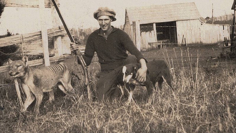 File:Wilf Batty with last wild Thylacine 2.jpg