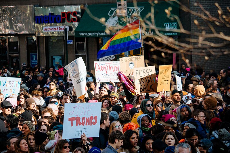 File:Women's March on NYC (31638743643).jpg