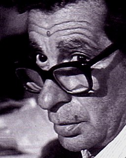 Youssef Chahine Egyptian film director