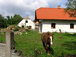 Opravovaný statek v Radvančicích