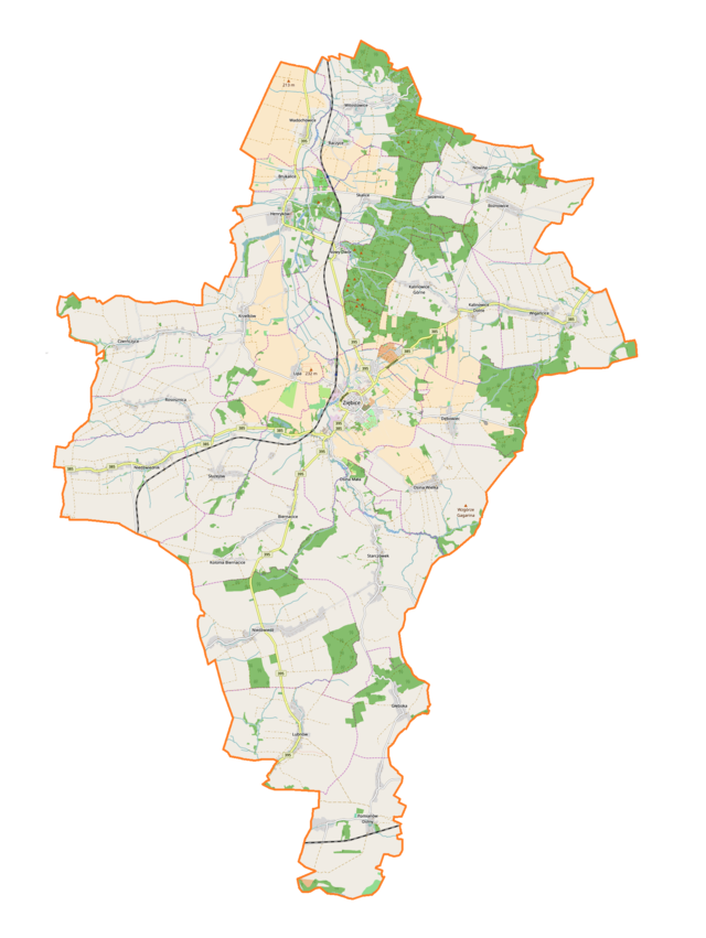 Mapa konturowa gminy Ziębice, w centrum znajduje się punkt z opisem „Ziębice”