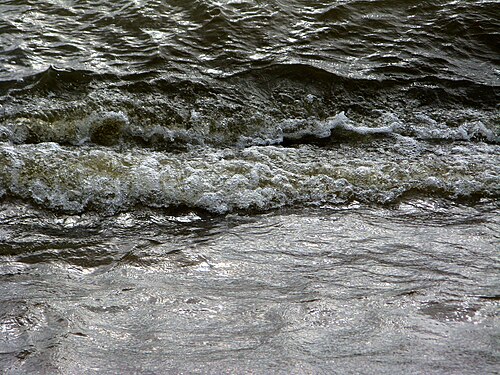 Cold waters of Saint Petersburg 1