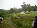 "Causeway" on the Munnar Road, past first trout stream.jpg