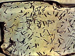 <span class="mw-page-title-main">Fission track dating</span> Radiometric dating technique