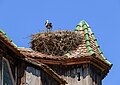 * Nomination Stork's nest on the Mulhouse Fortified Tower, Écomusée d’Alsace, Ungersheim, France. --Llez 05:27, 13 September 2023 (UTC) * Promotion  Support Good quality. --Jakubhal 05:34, 13 September 2023 (UTC)