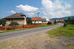 Ťapešovo 2010 - panoramio (2).jpg