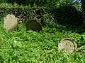 Čeština: Židovský hřbitov ve Stříteži, okres Jihlava. English: Jewish cemetery by the village of Střítež, Jihlava District, Vysočina Region, Czech Republic. This is a photo of a cultural monument of the Czech Republic, number: 37764/7-5233. Památkový katalog  · MIS  · hledat obrázky  · hledat seznamy  · Wikidata