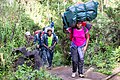 Drager op de Kilimanjaro, 2015.